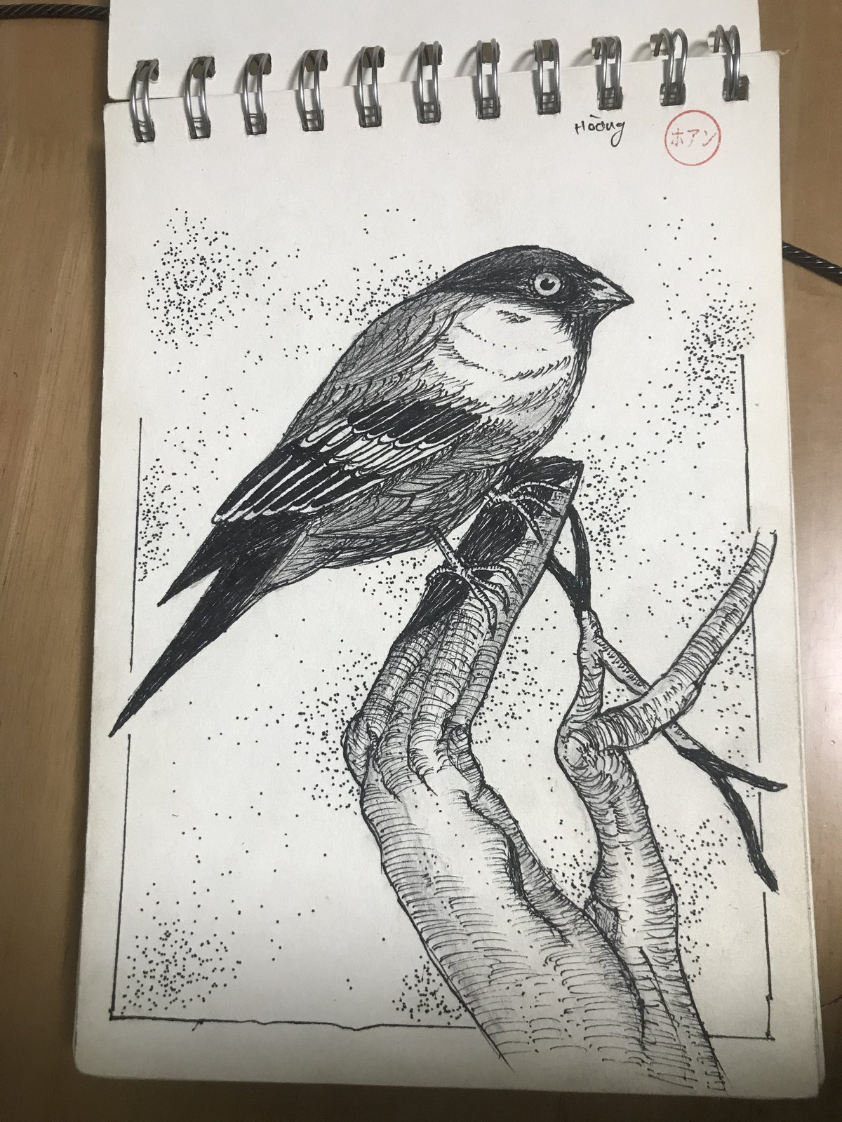 Ink drawing of a bird